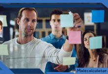 Untangling the Male Reality Insights