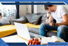 Seeking Love and Connection